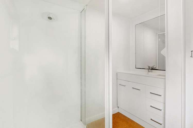 94 Pitt Street Wadestown_13