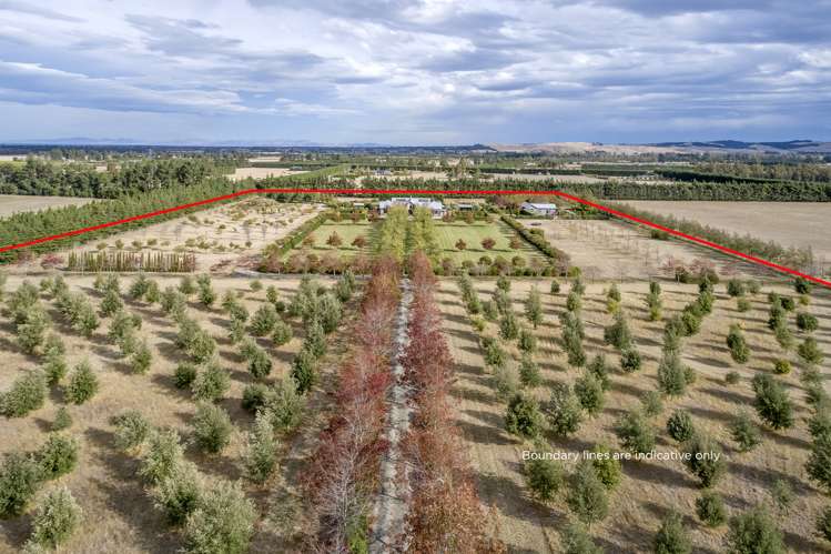 325 Purchas Road Amberley_35