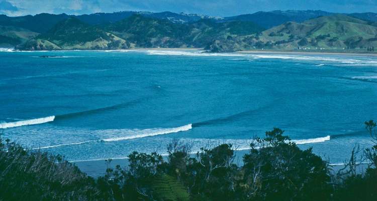 11 Chilcott Road Whananaki_22