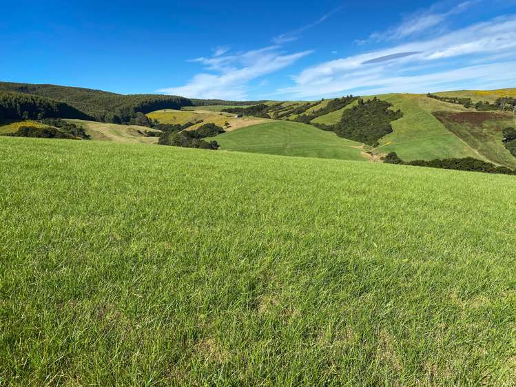 110 Harrison Road Tuatapere_5