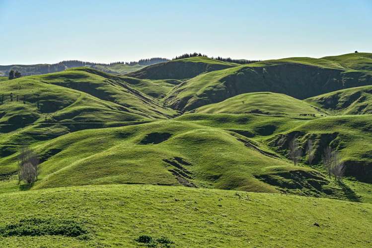 717k Puketitiri Road Puketapu_19