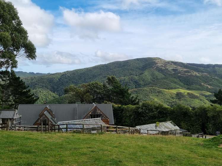 42 Cottle Park Drive Normandale_32