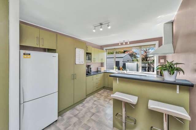 38 High Street Leeston_3