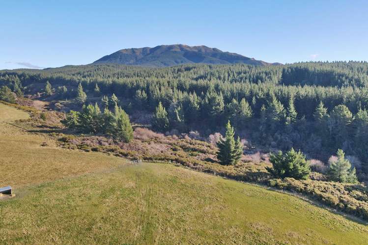 Lot 2/480 Cramptons Bush Road Broomfield_2