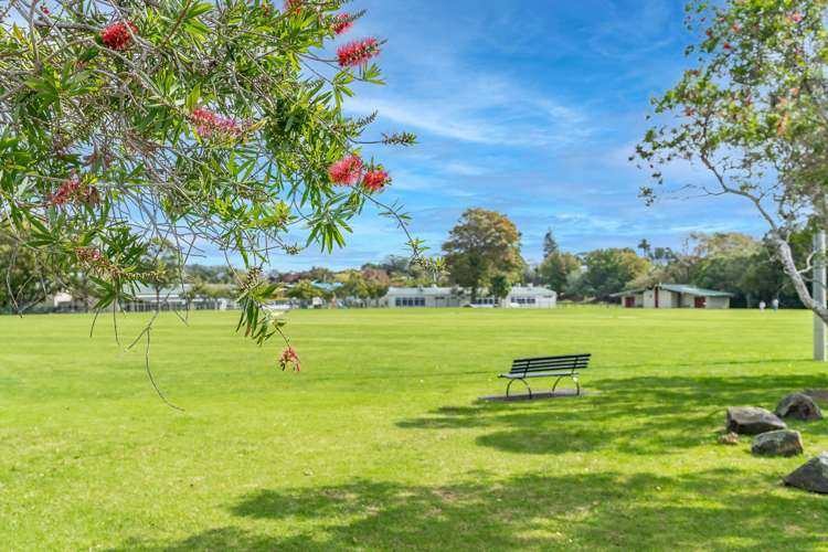 13A Carlton Street Hillsborough_19