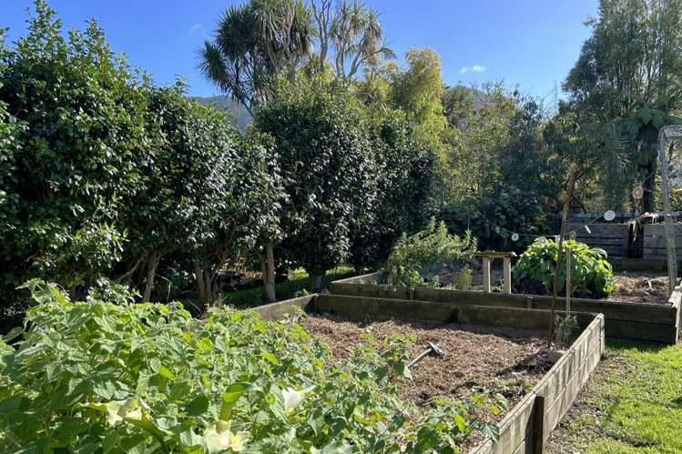 179 Collingwood-Puponga Main Road Collingwood_17