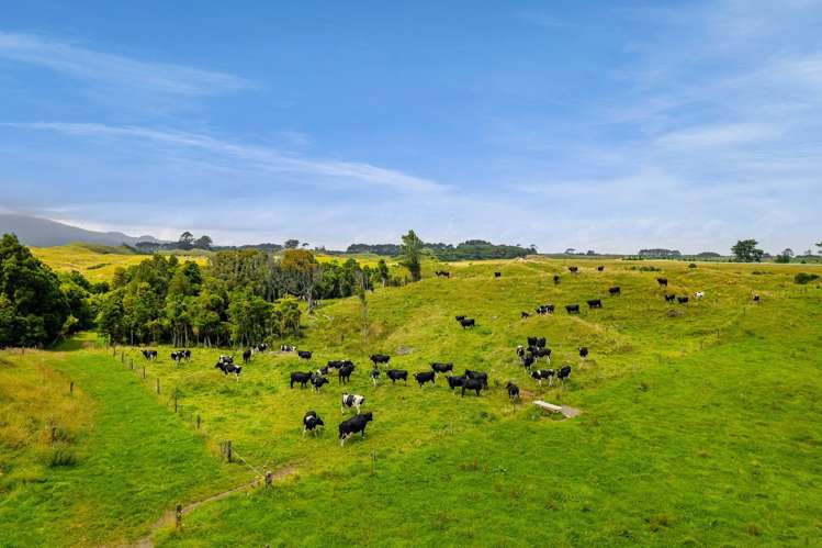 955 Opua Road Opunake_10