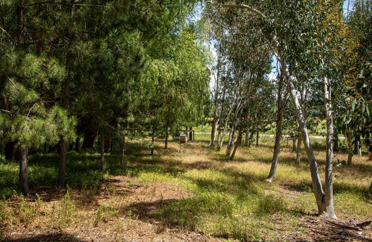 35 Clare Road Alexandra_21