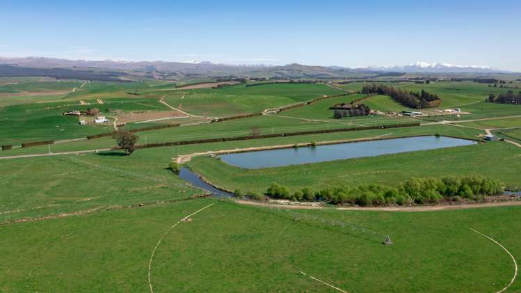 515 Kakanui Valley Road Five Forks and Surrounds_4