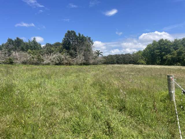 63 Follies Way Dairy Flat_3