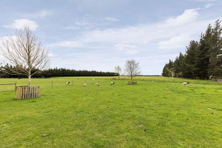 1490 North Eyre Road West Eyreton_33