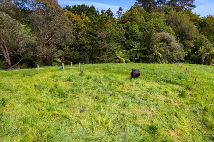 275 Henwood Road Paraite_23