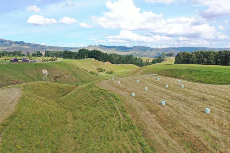 Spur Road Ashhurst_3