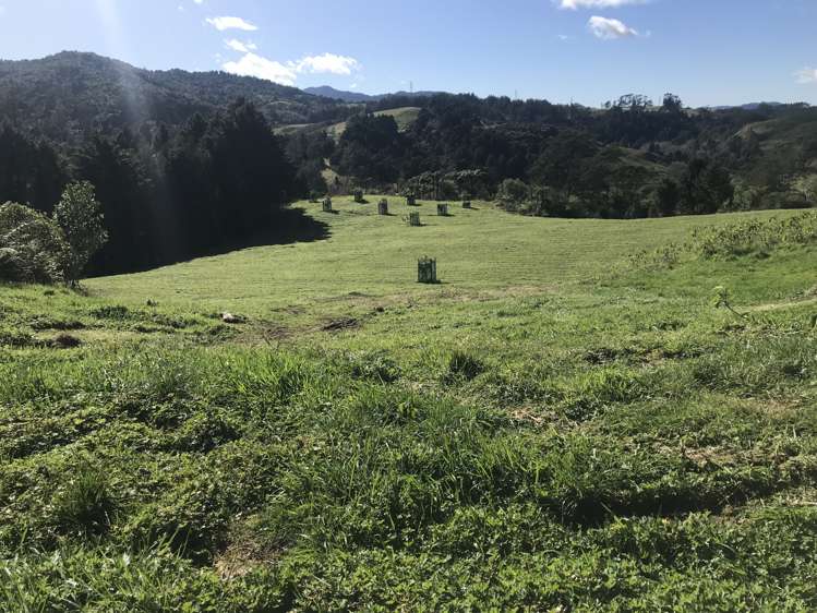 166 Swetman Road Waikino_26