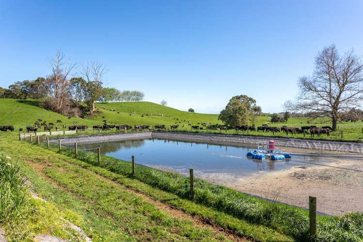 249 Hutchinson Road Richmond Downs_9