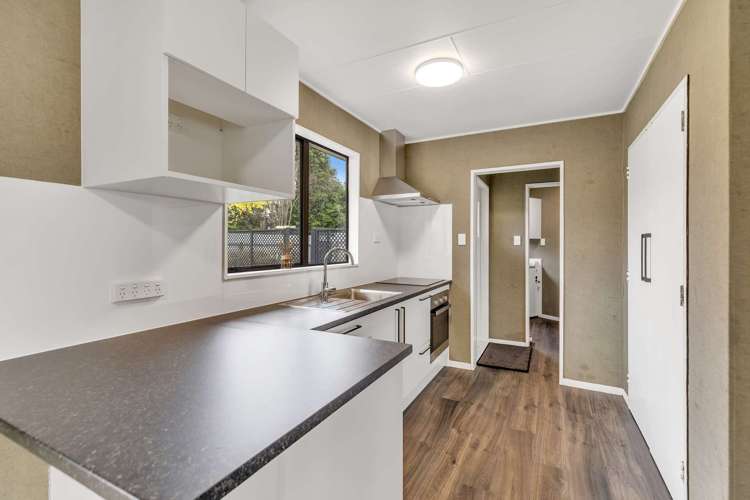 6 Kirkcaldie Grove Levin_10