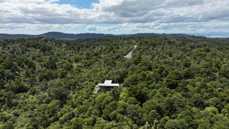 296 Piha Road Piha_75