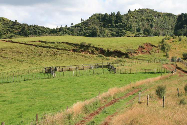 1 Waitaanga Road Ahititi_41