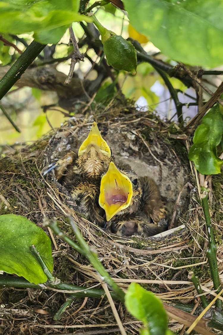 46 The Drive Paraparaumu Beach_19