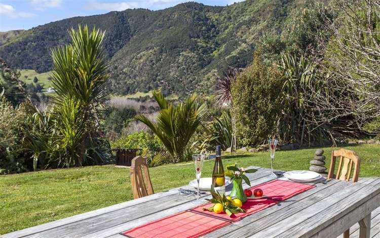 77 Packtrack Road Thames_17