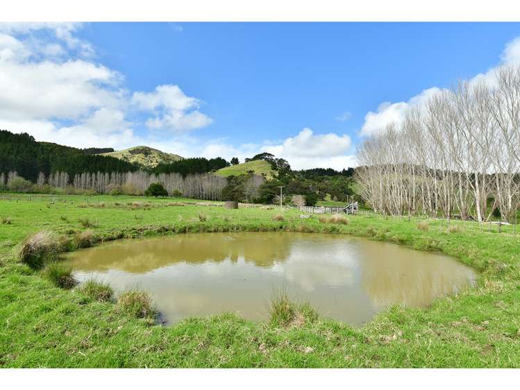 2882 Kaipara Coast Highway Glorit_29