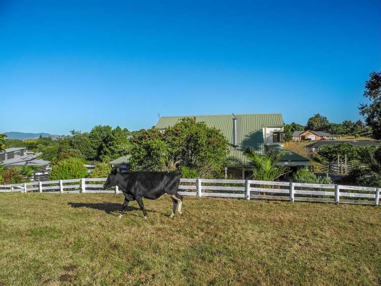 946 Bond Road Te Awamutu_16