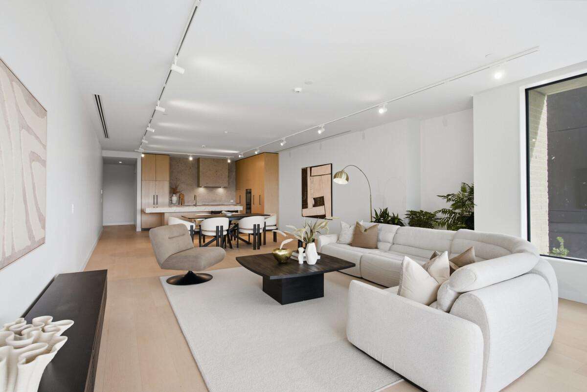 81 Carlton Gore Road_2