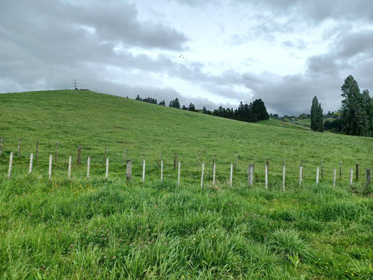 211 Adler Drive Ohauiti_5