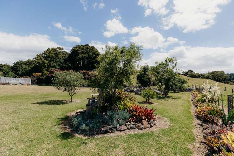 48 Bedlington Street Whau Valley_5