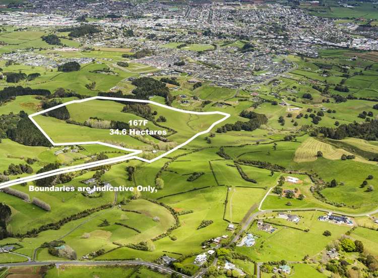 Runciman Road Pukekohe East_0