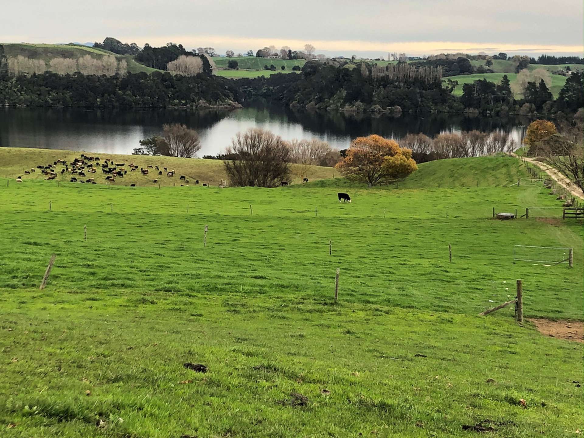 728 Lake Arapuni Road Arapuni_0