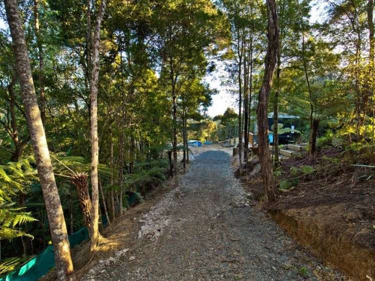 250 Wright Road Dairy Flat_11