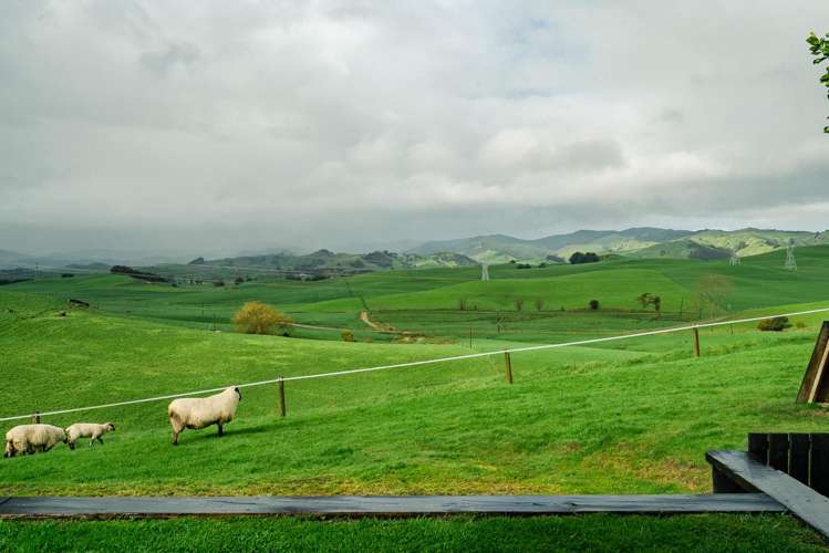 383 Martin Road Te Kauwhata_28