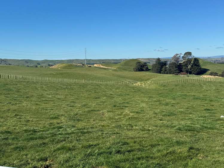 Lot Lots 1&2 Taihape Road Sherenden_4