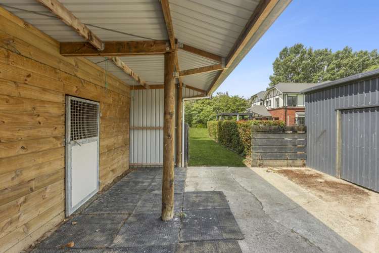 300a Bellevue Road Matangi_23