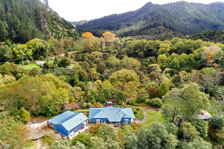 631 Riverside Road Matokitoki_18