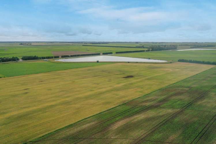 Burnham Road Temuka_9