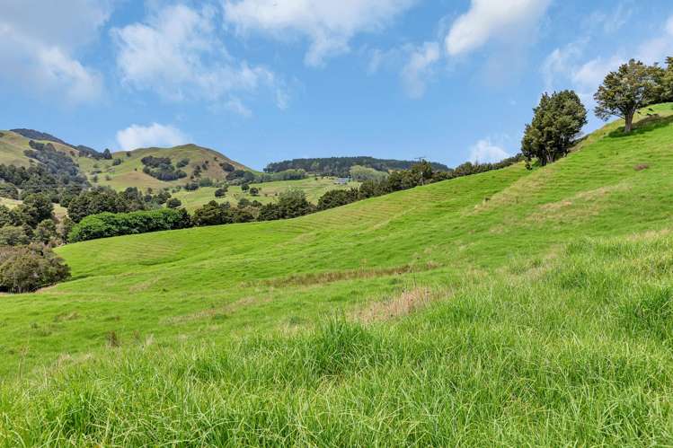 Pipiwai Road Purua_18