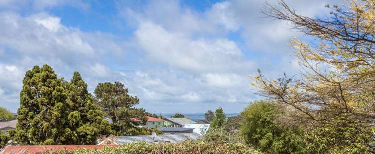 3/291A Hillsborough Road 1687_13