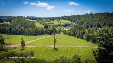 328 Sunnyside Road_4