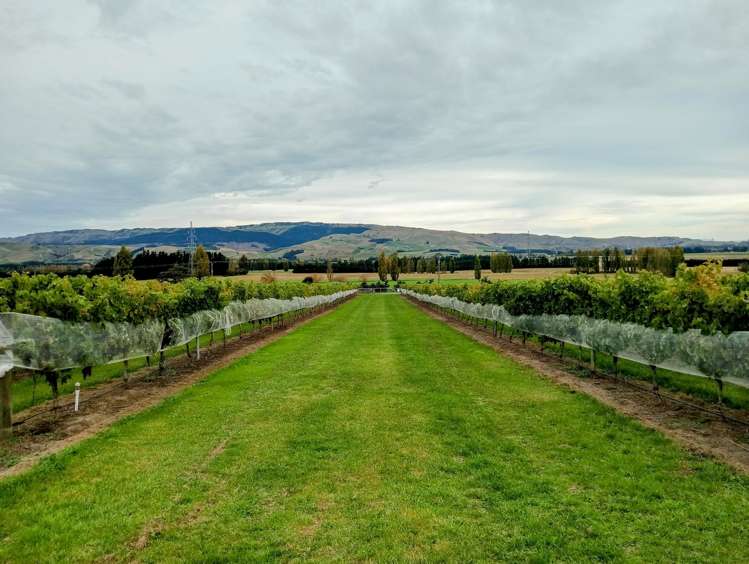 337 Mackenzies Road Waipara_13