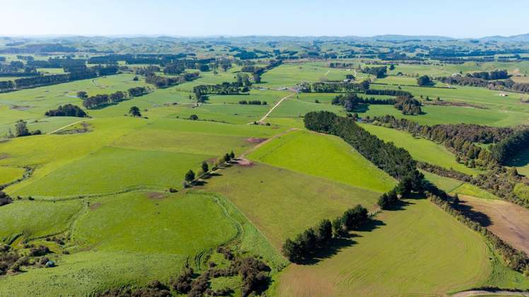 886 Kakariki Road Eketahuna_11