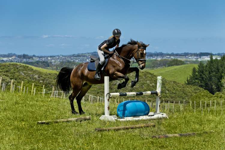 166 Gervin Road Wainui_17