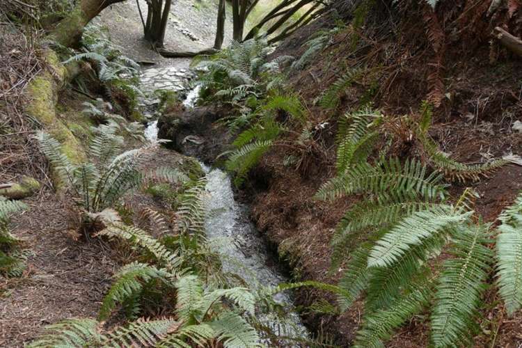 163 Hansen Road Queenstown Hill_19