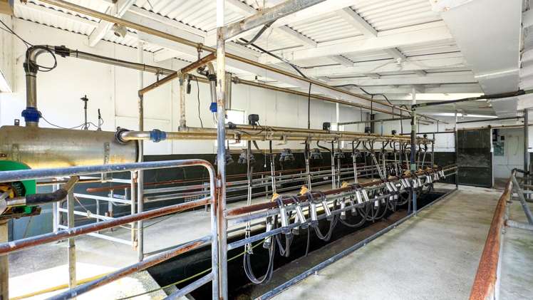 129B Corbett Road Waihi_19
