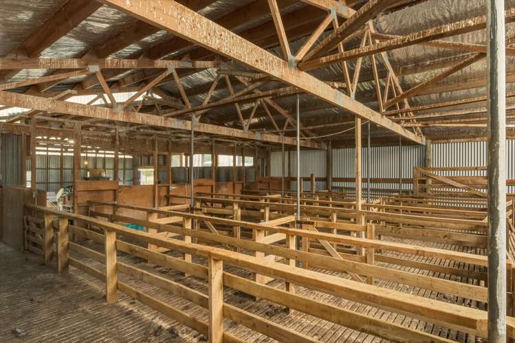 140 Leslies Road Okaramio_43