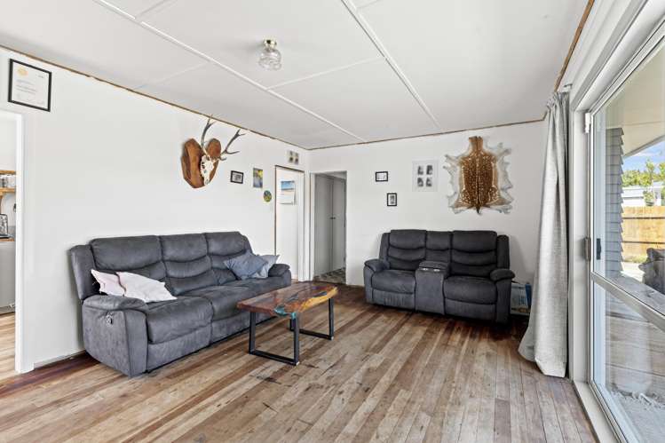 11 Flower Street Bulls_4