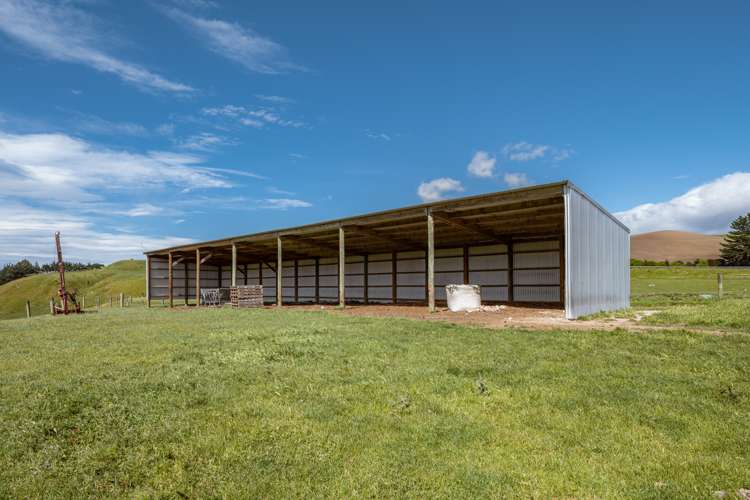 7797 State Highway 1 Ward_21