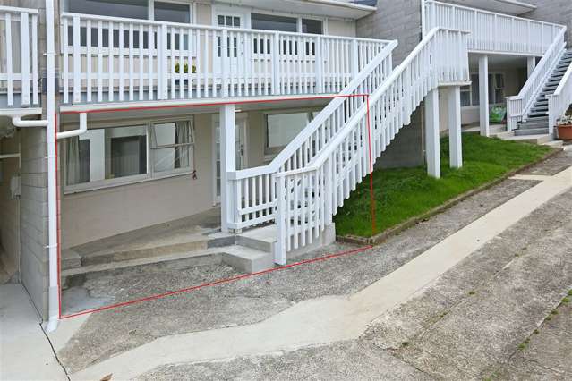 1/2 Ewenson Avenue One Tree Hill_1