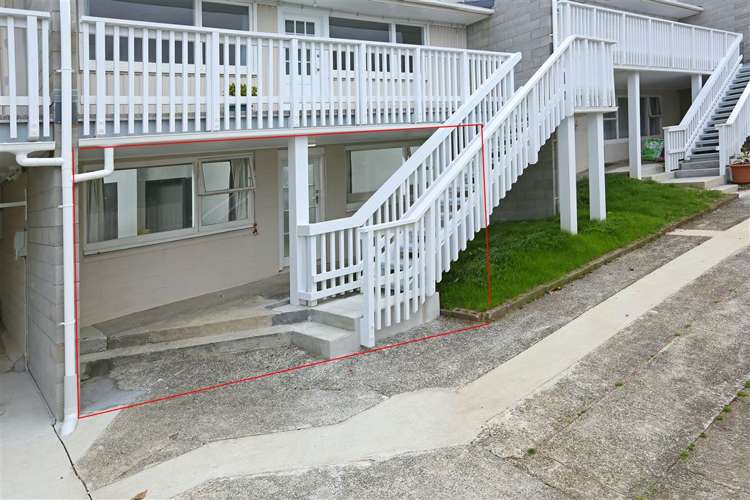 1/2 Ewenson Avenue One Tree Hill_1